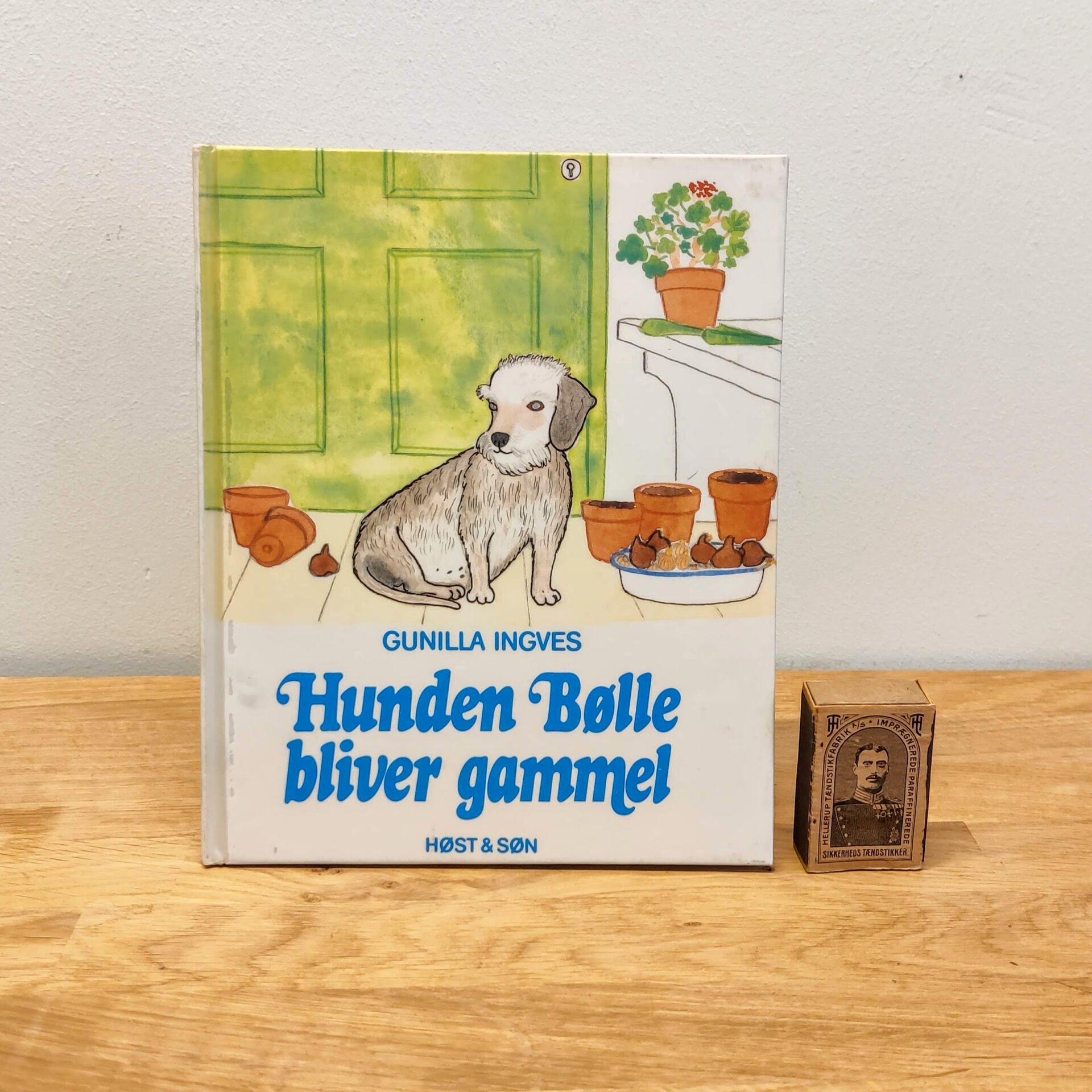 Hunden Bølle bliver gammel