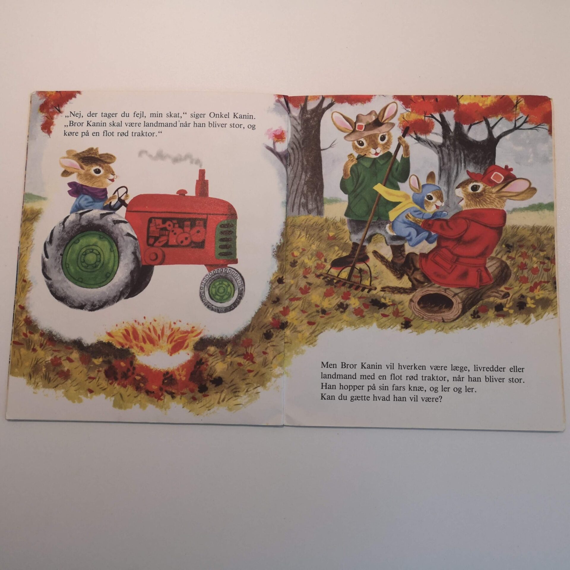 Når Bror Kanin bliver stor af Richard Scarry