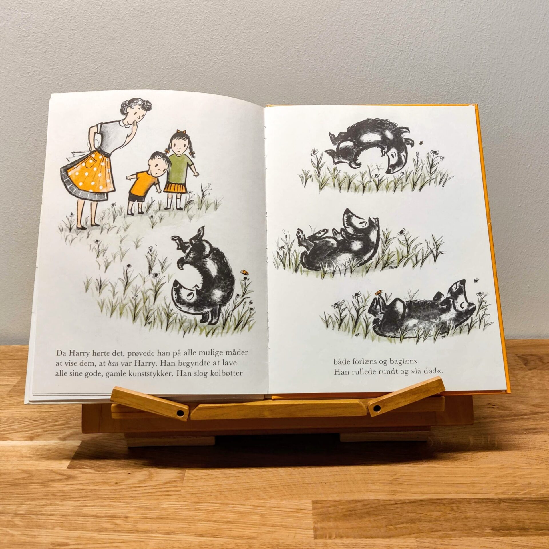 Harry den snavsede hund af Gene Zion - Billede 3