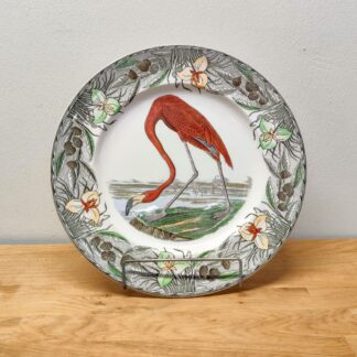 platte med amerikansk flamingo