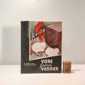 Vore fjedrede venner