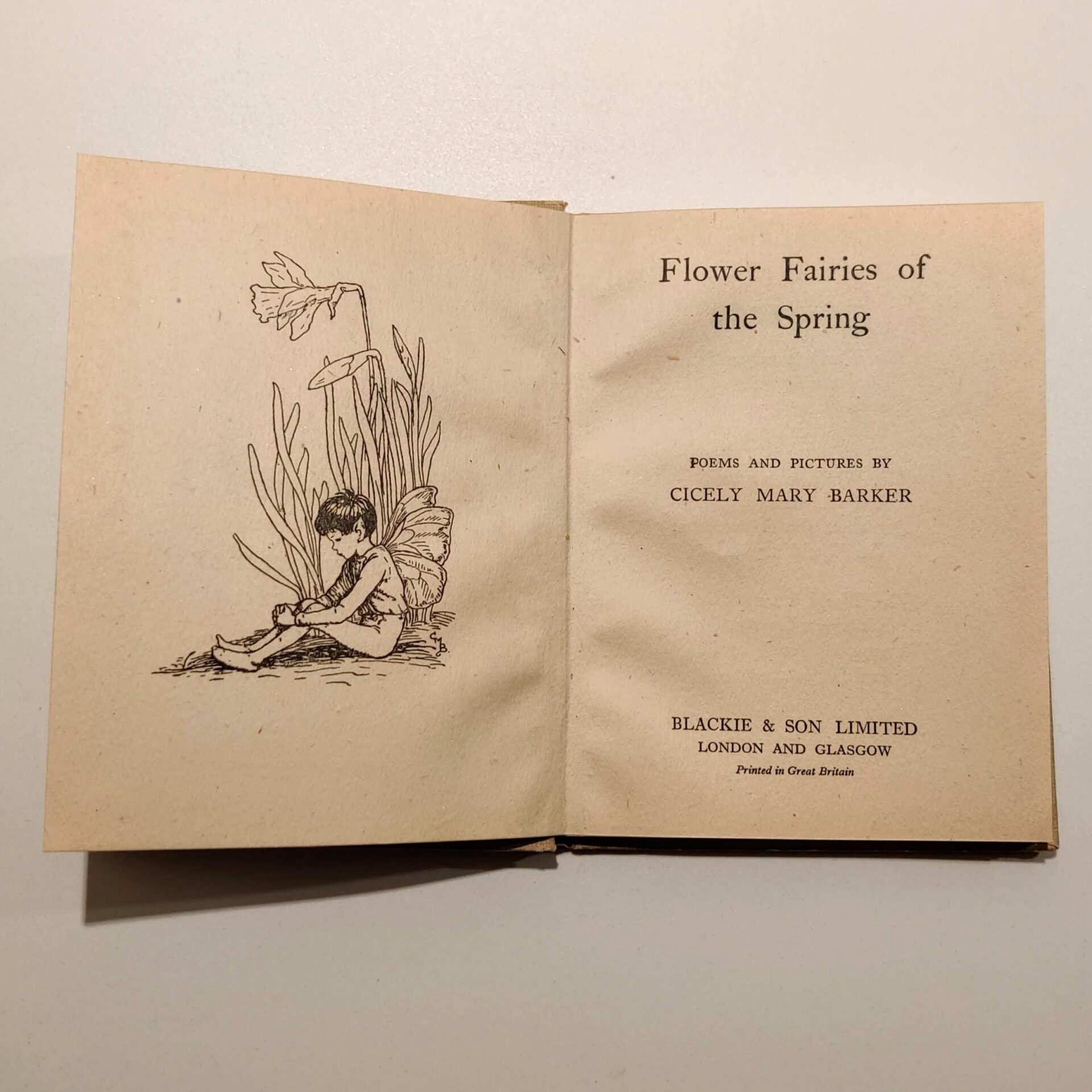 Flower Fairies of the Spring by Cicely Mary Barker