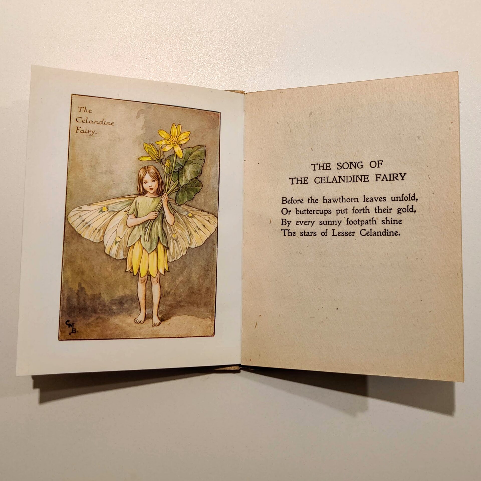 Flower Fairies of the Spring by Cicely Mary Barker
