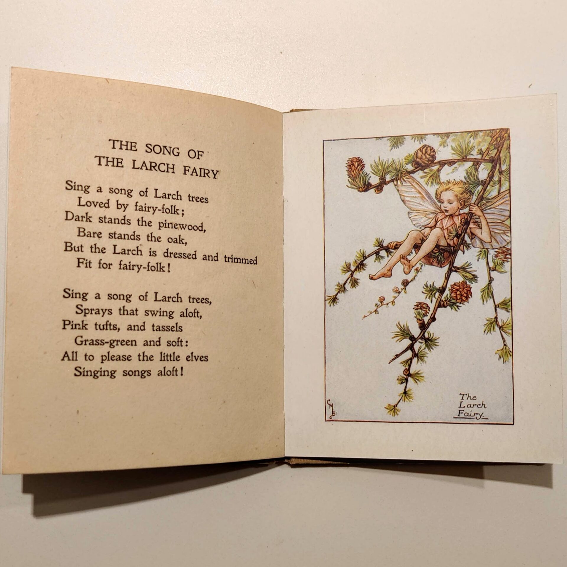 Flower Fairies of the Spring by Cicely Mary Barker