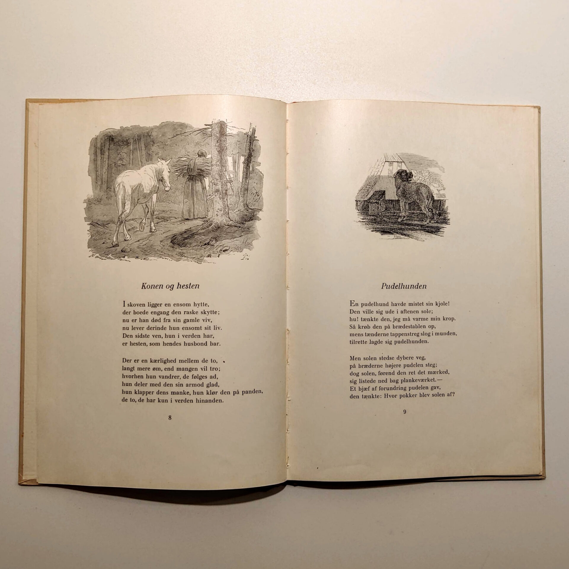 Fabler for børn af Kaalund