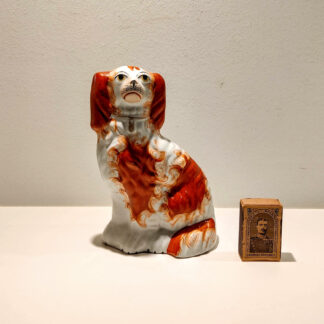 Fin rød Staffordshire spaniel