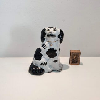 Staffordshire hund
