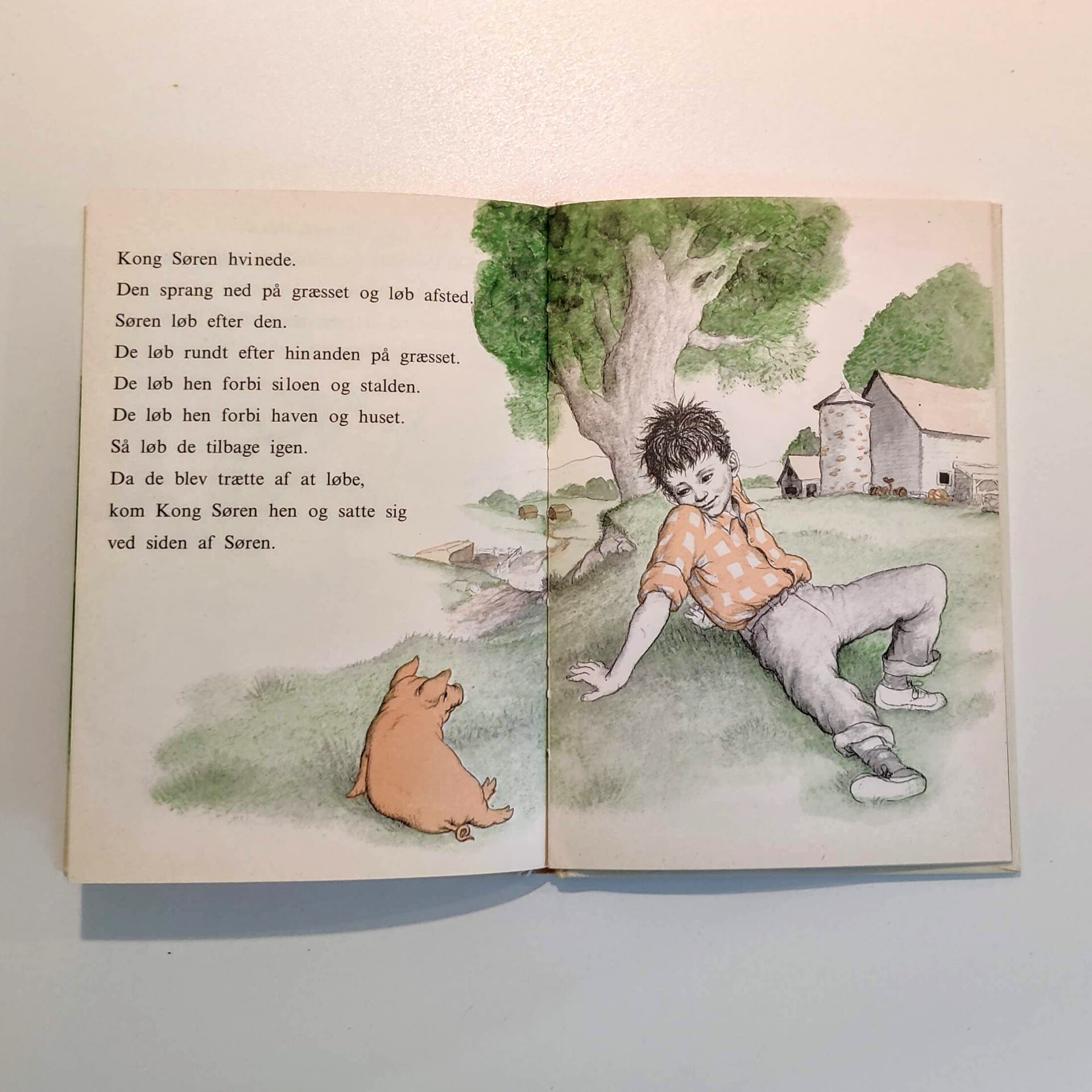 Sørens gris af Mary Stolz