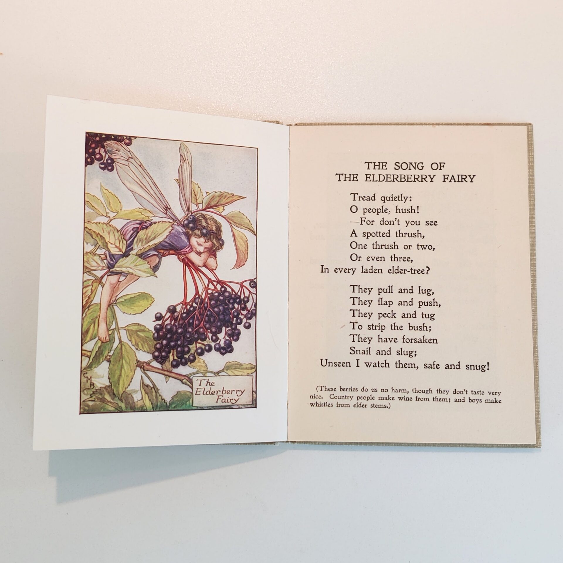 Flower Fairies of the Autumn by Cicely Mary Barker - Billede 4