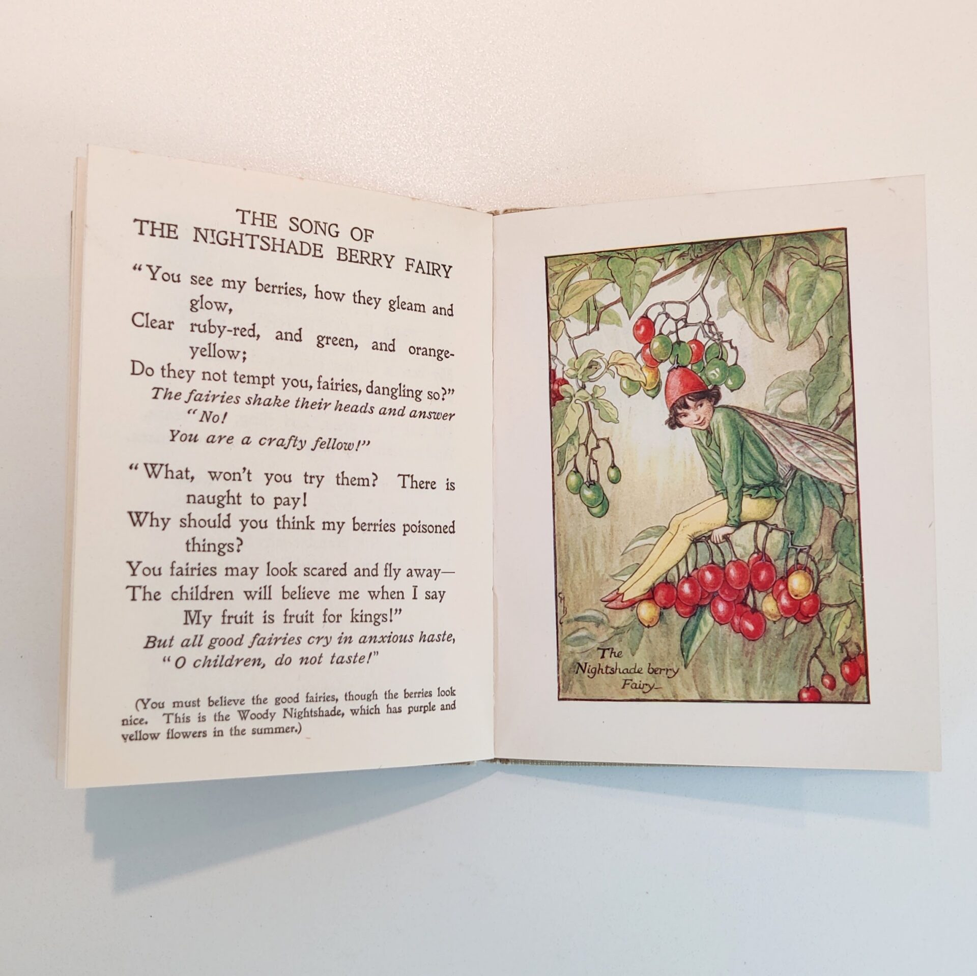 Flower Fairies of the Autumn by Cicely Mary Barker - Billede 3