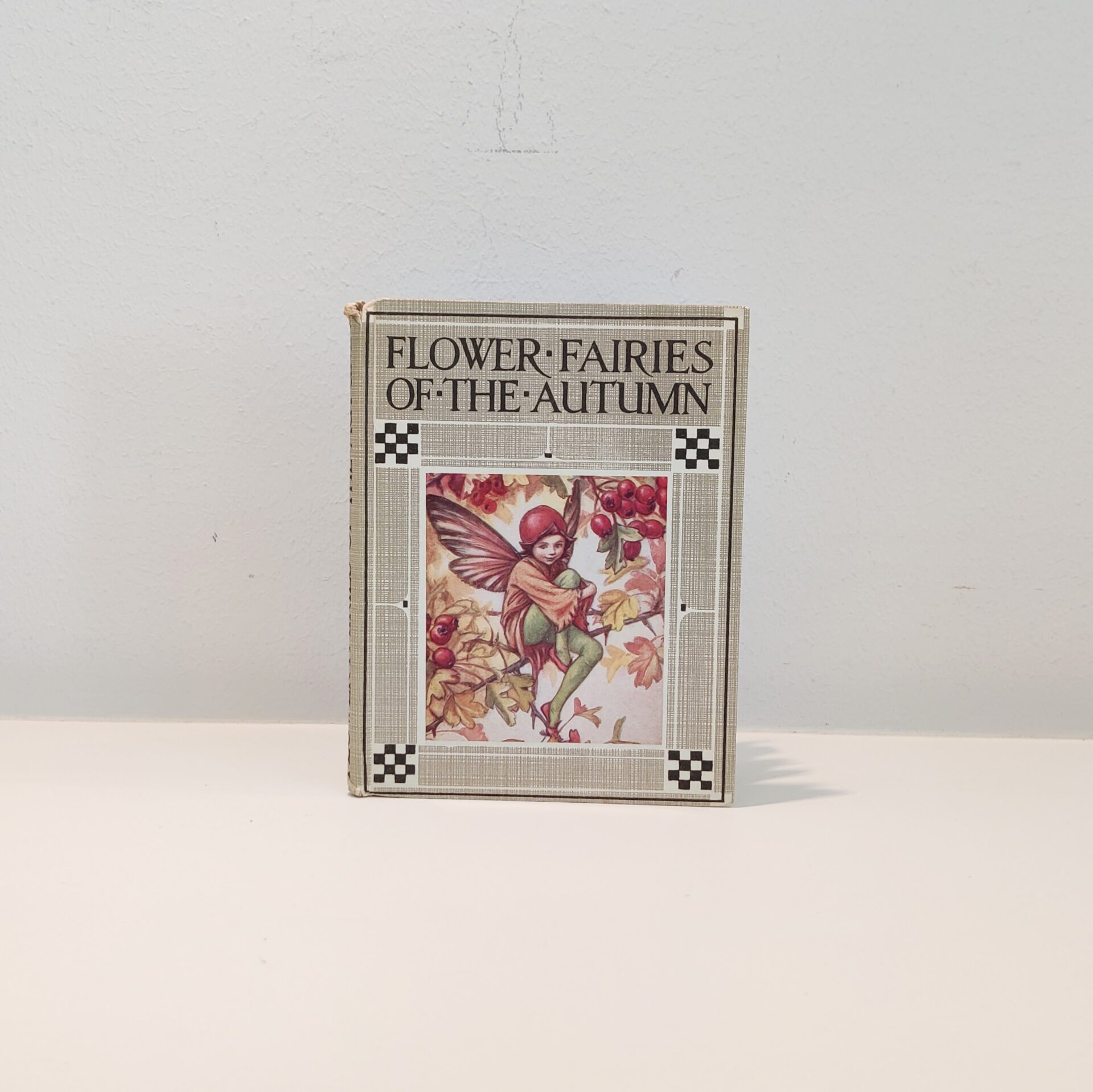 Flower Fairies of the Autumn by Cicely Mary Barker - Billede 2