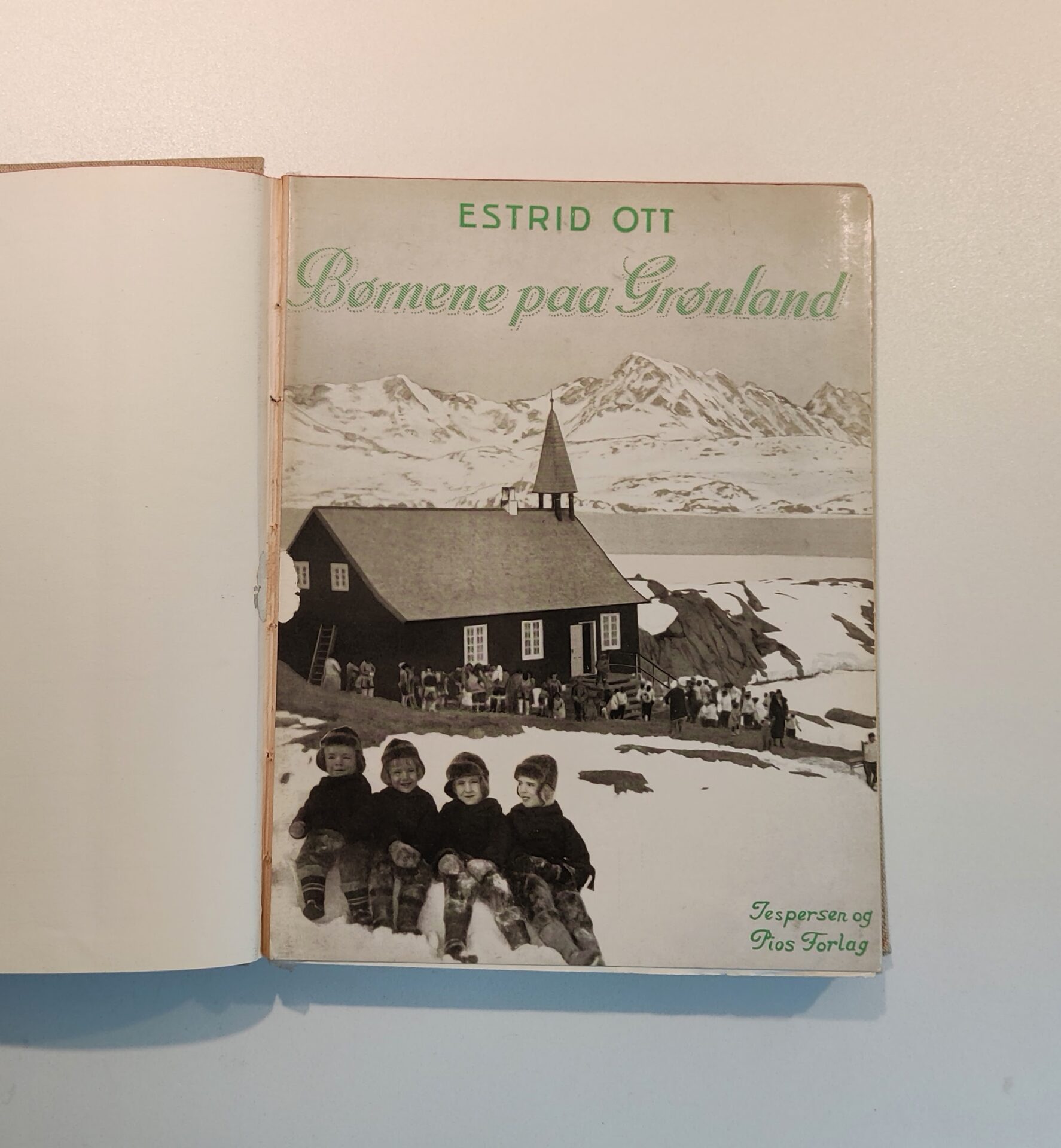 Børnene på Grønland af Estrid Ott