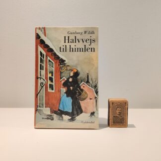 Halvvejs til himlen af Gunborg Wildh