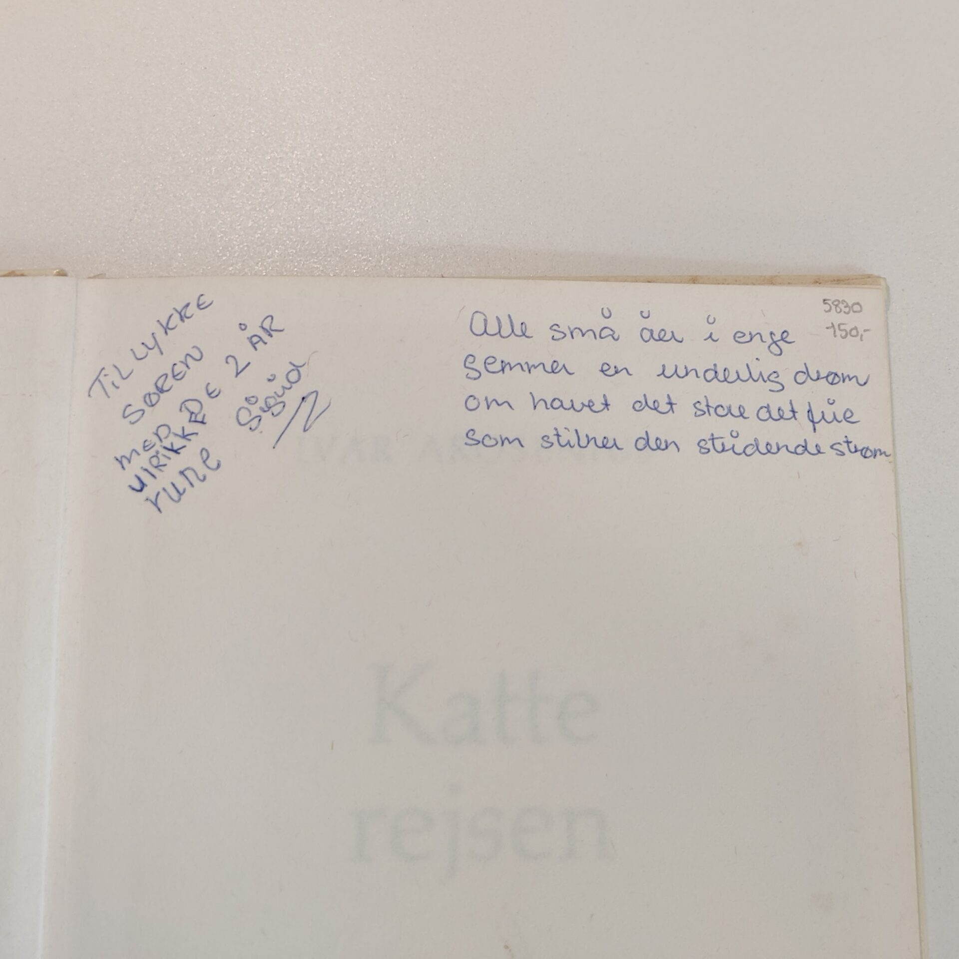 Katterejsen af Ivar Arosenius - Billede 4
