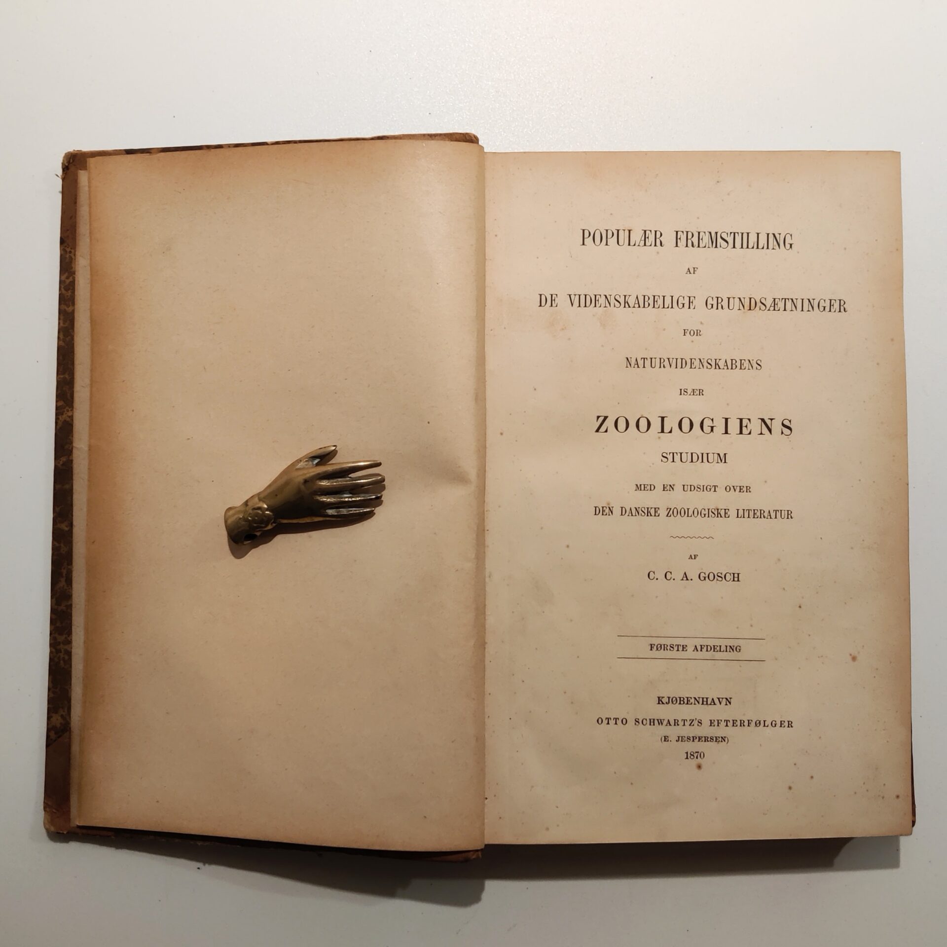 Udsigt over Danmarks zoologiske Literatur I - III af C.C.A Gosch - Billede 3