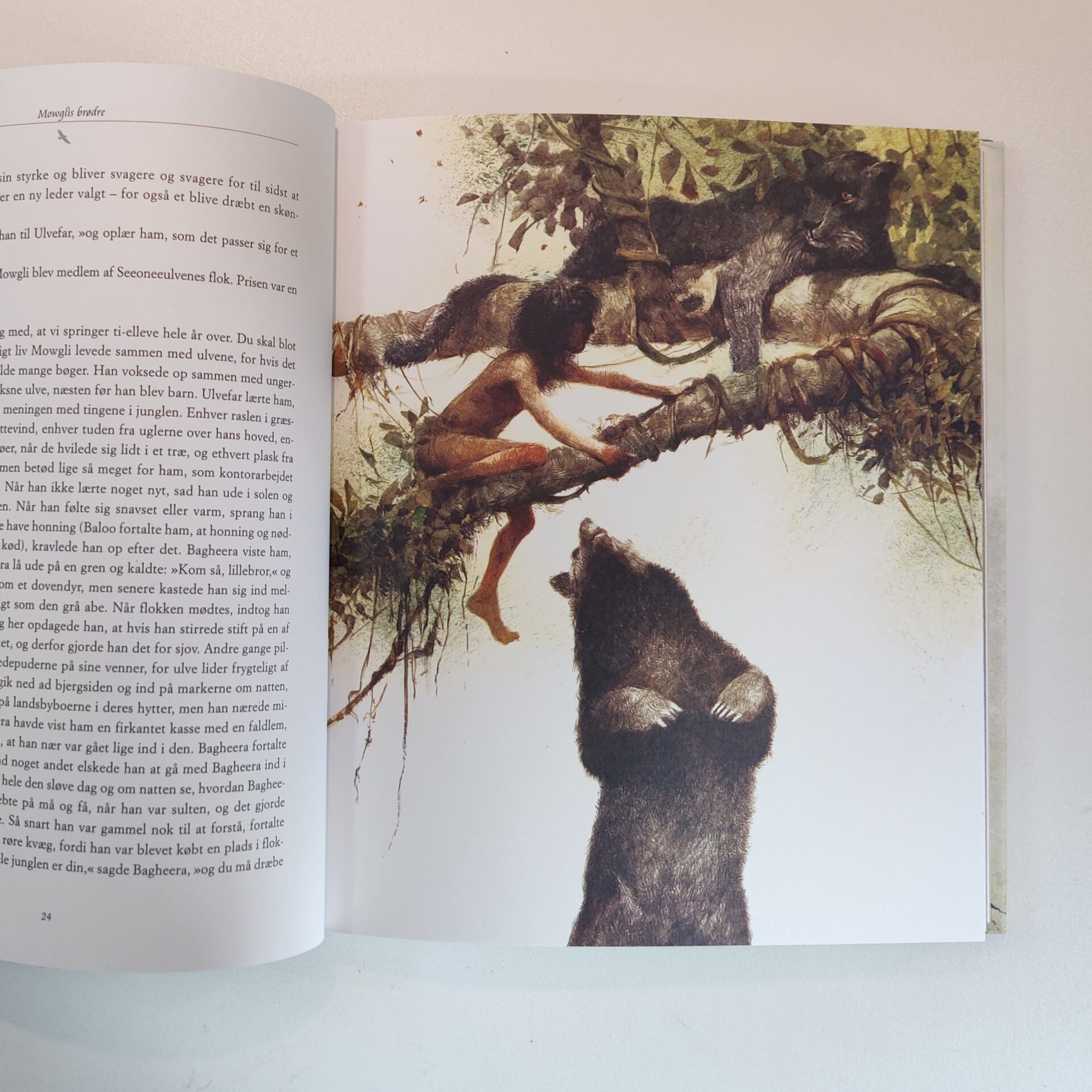 Junglebogen af Rudyard Kipling og Robert Ingpen - Billede 2