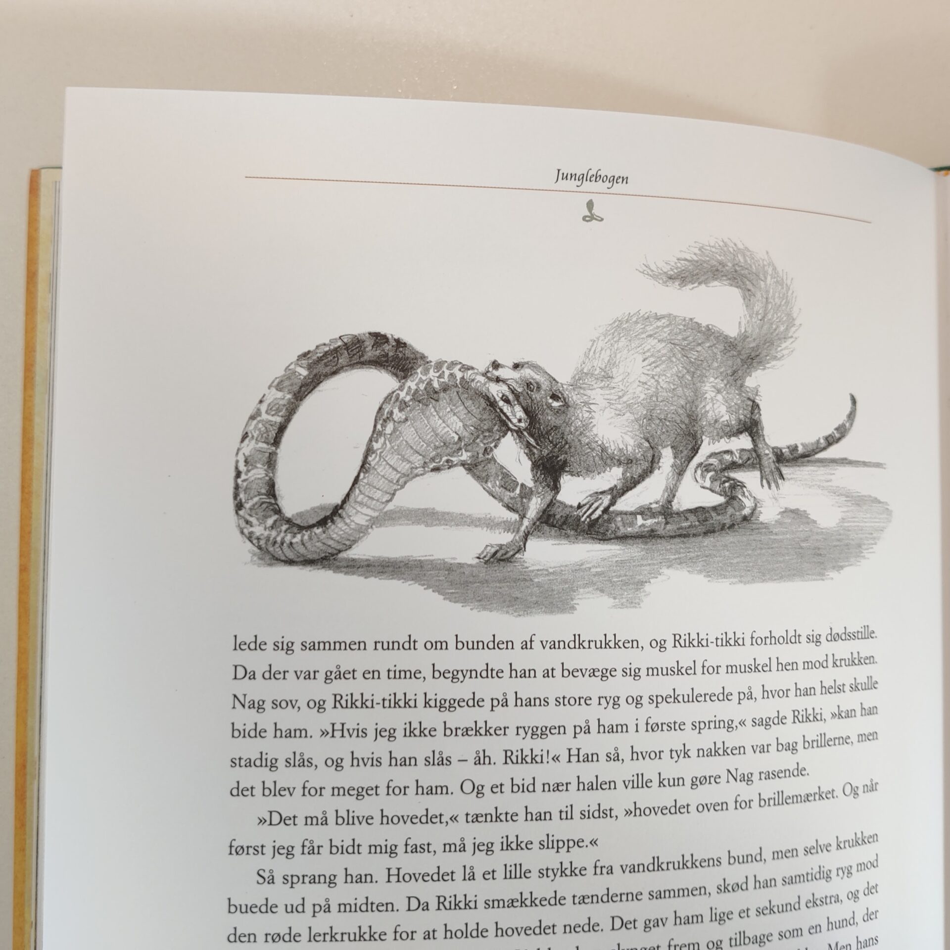 Junglebogen af Rudyard Kipling og Robert Ingpen