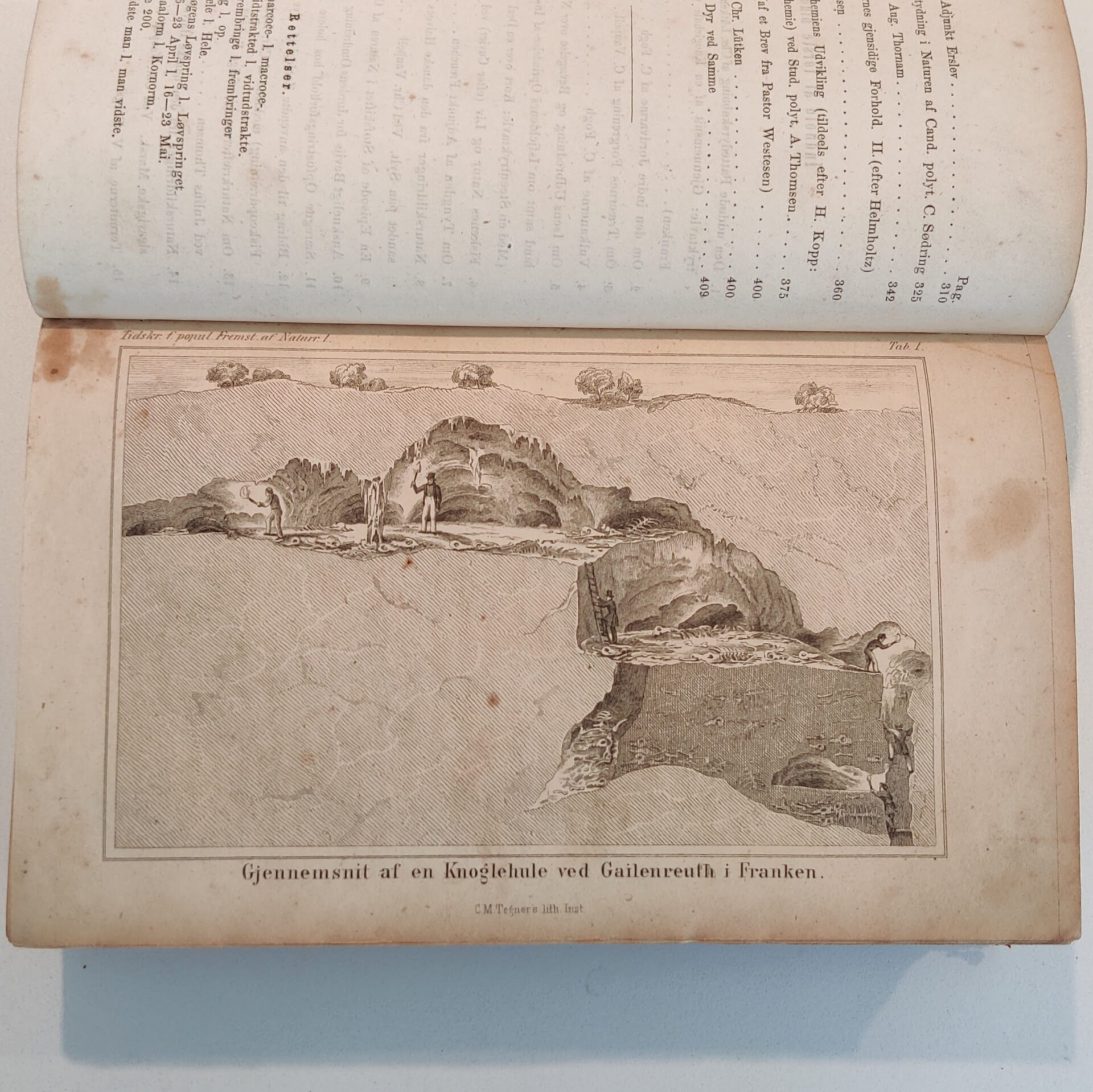 Tidsskrift for populære Fremstillinger af Naturvidenskaben Bd. 1 - 2, 1855 - Billede 3